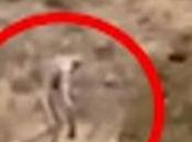 Video ‘misteriosa criatura humanoide’ desierto Portugal