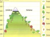 Comentario cliserie