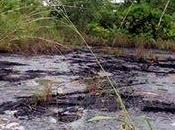 Contaminación Selva Amazónica Transnacional Petrolera