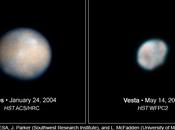 Vesta vista