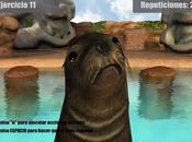 Terapia leones marinos virtuales