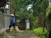 Bali life