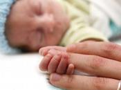 Pulmones bebés prematuros desarrollan buena nutrición