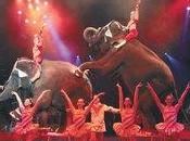 Empresa Familiar: Atayde, cinco generaciones circo reinventa