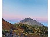 Ardiente febrero Bodegas Monje