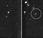 Stardust-NExT toma primeras imágenes cometa Tempel antes encuentro febrero