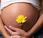 homeopatía durante embarazo