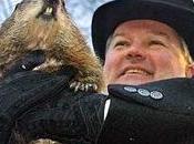 Marmota