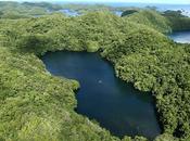 Lago Medusas