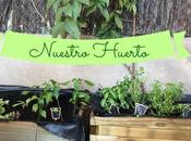 Nuestro huerto