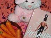 Perseguir conejo vive país maravillas