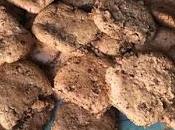 Galletas chocolate gluten