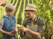 ¿Preparamos Sucesión Convivencia Generacional?