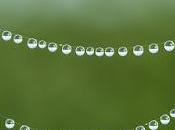 Vida muerte gota rocío