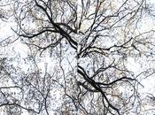 Venerdí Photosatriani