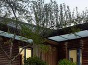 Cabana Rustica Madera Piedra