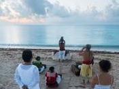 Ocean Riviera Paradise Maya