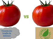 Ecodiseño alimentos: reto comer sostenibilidad