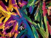 Bajo microscopio