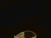 Pablo Suárez: Cómo evitar apocalipsis