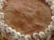 Receta tarta tiramisú