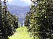 Toda frontera entre Estados Unidos Canadá está marcada raya árboles