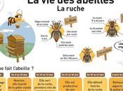 Posters: vida abejas affiches: abeilles.