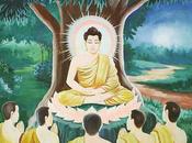 budismo importante nunca