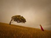 minimalismo poético paisajes fotógrafo australiano Ricardo Cunha
