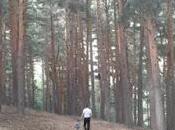 Miércoles Mudo: Paseo Sierra Guadarrama