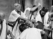 Vieja guardia, barones otras especies identificar