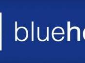 Bluehost cumple