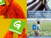 ¿Pesticidas Transgénicos?