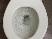 Este inodoro emite lamento después cada descarga