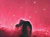 ✨Campo amplio detalle nebulosa Cabeza Caballo