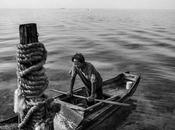 Fotógrafos: guillem valle