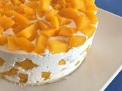 Bavarois yogurt mango