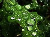 breve introducción soñar rocío. Todos nuestros...