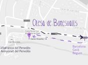 Segueix mapa/ Sigue mapa