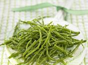 Salicornia
