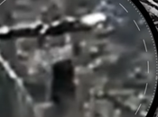 Cámara nido águilas captura Grande algo caminando alrededor