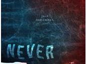 Never Colleen Hoover Tarryn Fisher