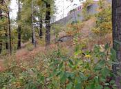 Stockholm october 2016