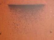 Vicente Muñoz Álvarez: (4):