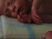 distribución oxígeno incubadoras tuvieron origen barril cerveza