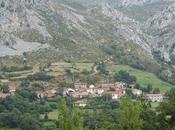 Colio