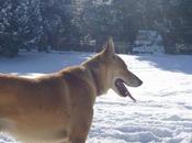 Viaje Andorra, día: Naturlandia