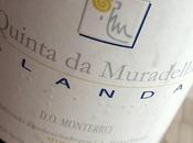 Quinta Muradella Alanda 2009