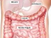 Homeopatía casos parálisis intestinal post-operatoria