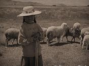 PORTFOLIO: Niñas pastoras altiplano boliviano (Pillapi). Parte